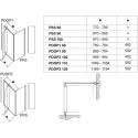 Стенка для душевой кабинки Ravak PIVOT PPS-100 Transparent, профиль сатин, стекло, 90GA0U00Z1